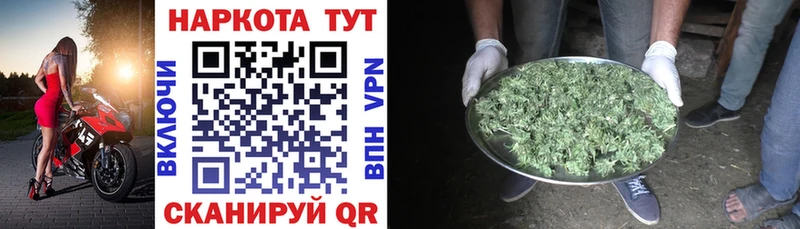 Как найти наркотики Ногинск ссылка на мегу ТОР  Кокаин  ГАШИШ  Меф  Канабис  A PVP 