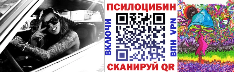 хочу наркоту  Ногинск  Галлюциногенные грибы Cubensis 